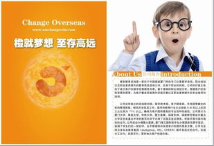 點亮未來，啟迪夢想——橙至教育咨詢圖冊引領(lǐng)教育新航向